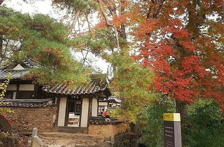 Bed and Breakfast Okyeon Jeongsa Andong Exteriér fotografie