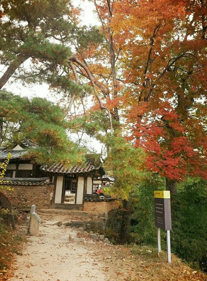 Bed and Breakfast Okyeon Jeongsa Andong Exteriér fotografie