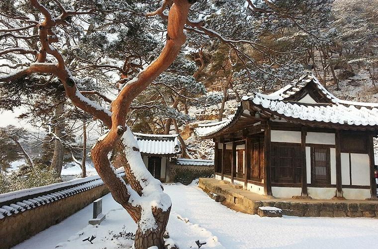 Bed and Breakfast Okyeon Jeongsa Andong Exteriér fotografie