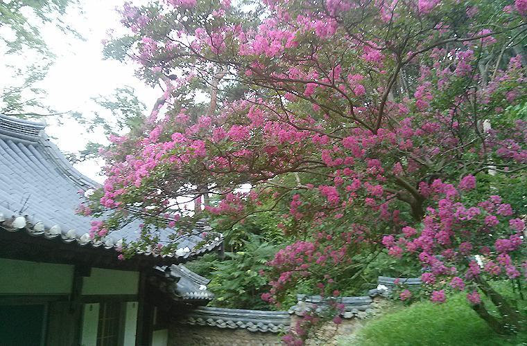 Bed and Breakfast Okyeon Jeongsa Andong Exteriér fotografie