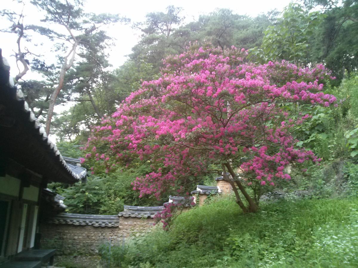 Bed and Breakfast Okyeon Jeongsa Andong Exteriér fotografie